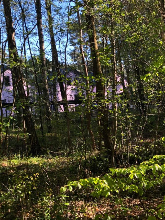 Lawendowe Domki 70M Międzywodzie Exterior foto